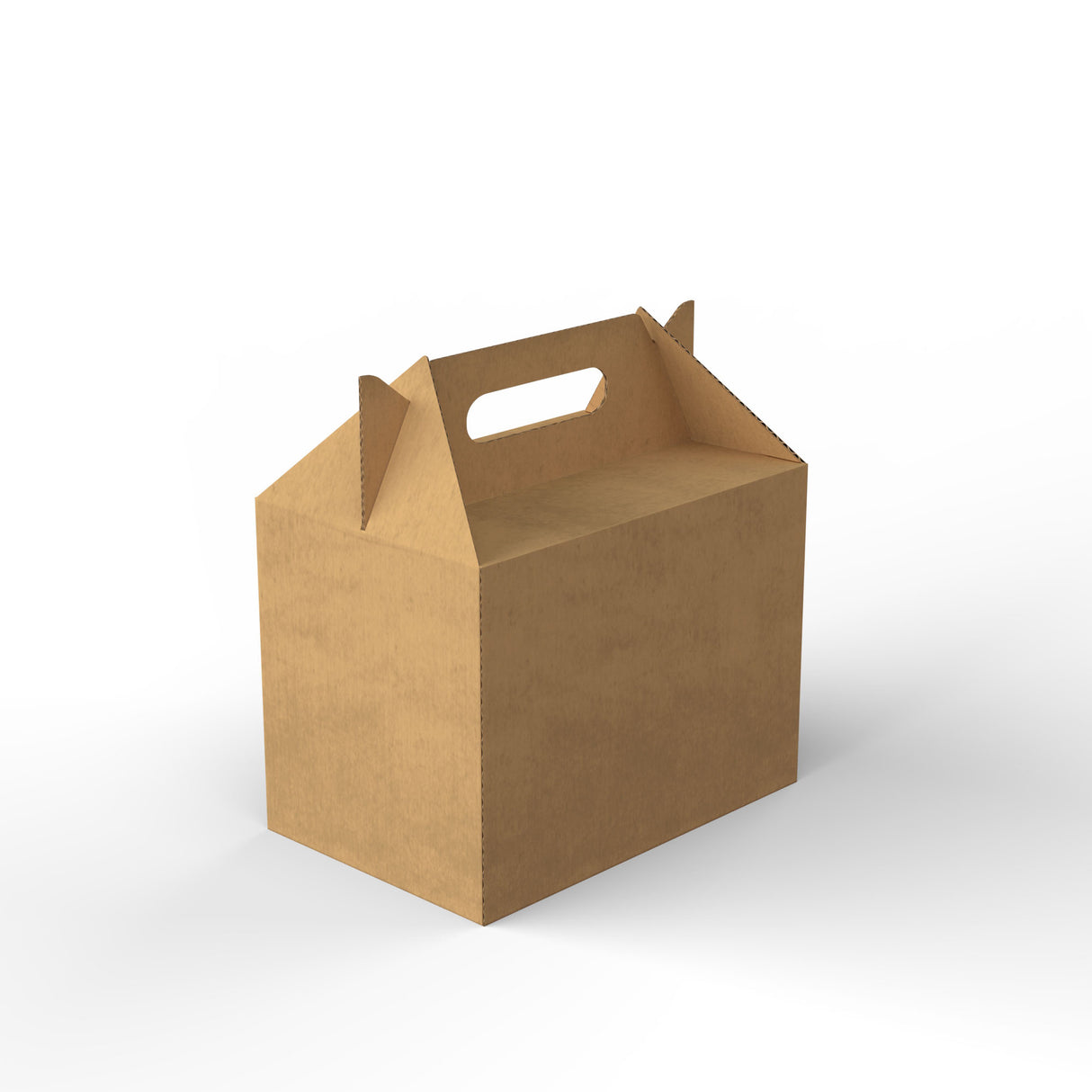 Takeaway Food Boxes