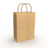 Twist Handle Paper Bags