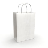 Twist Handle Paper Bags